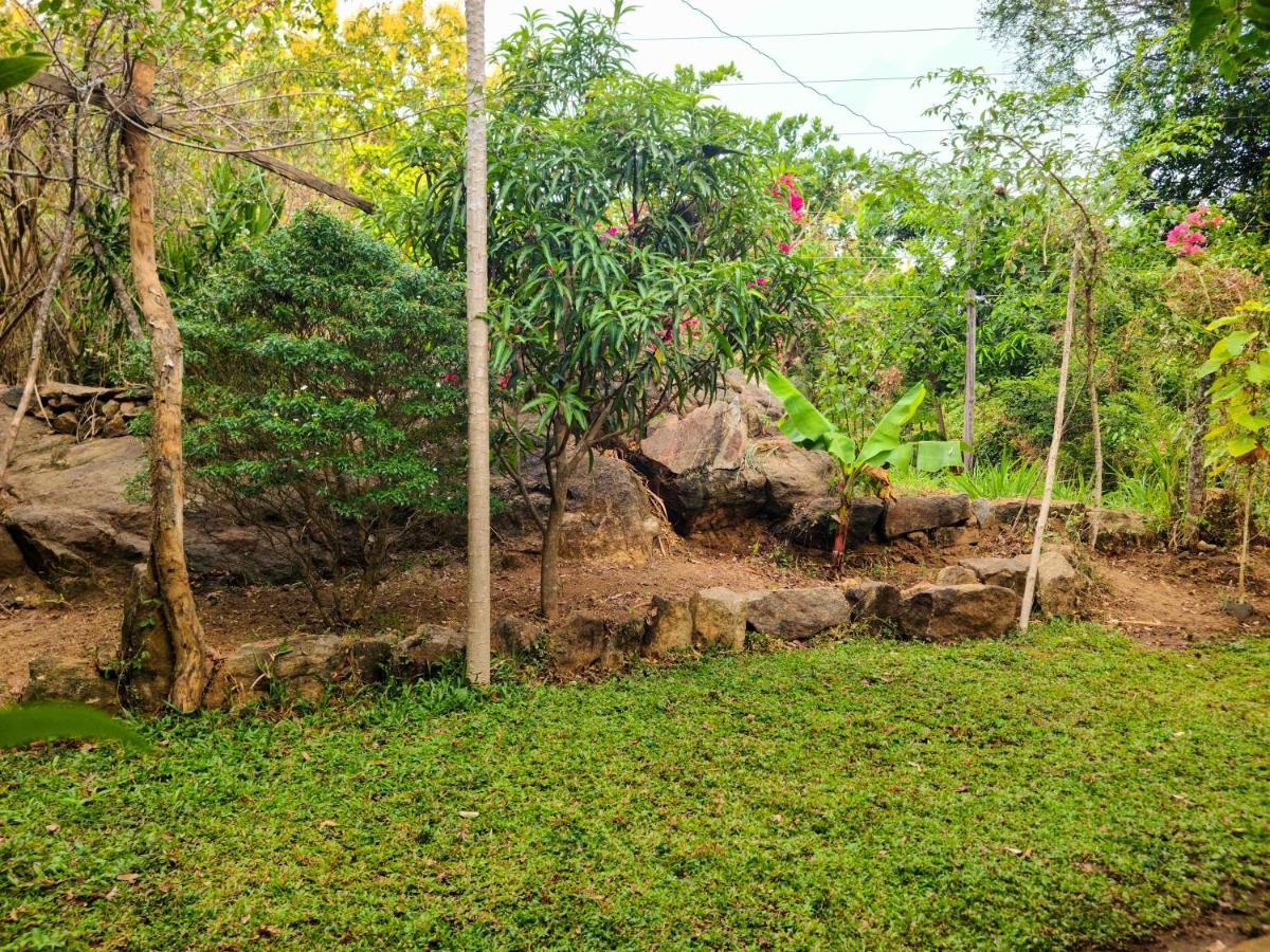 Woodholic Homestay Sigiriya Exteriör bild