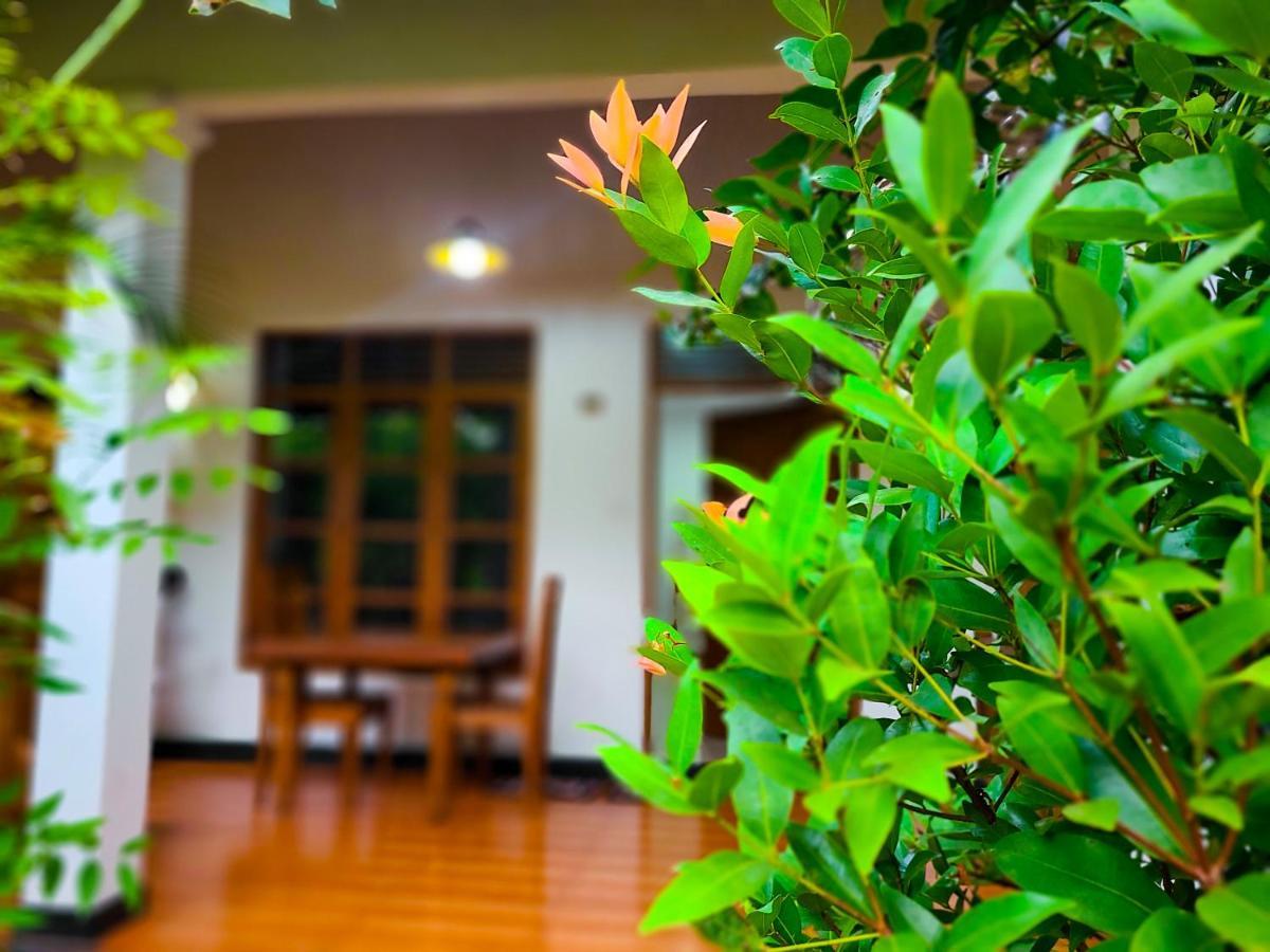 Woodholic Homestay Sigiriya Exteriör bild