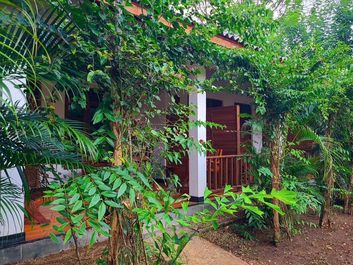 Woodholic Homestay Sigiriya Exteriör bild